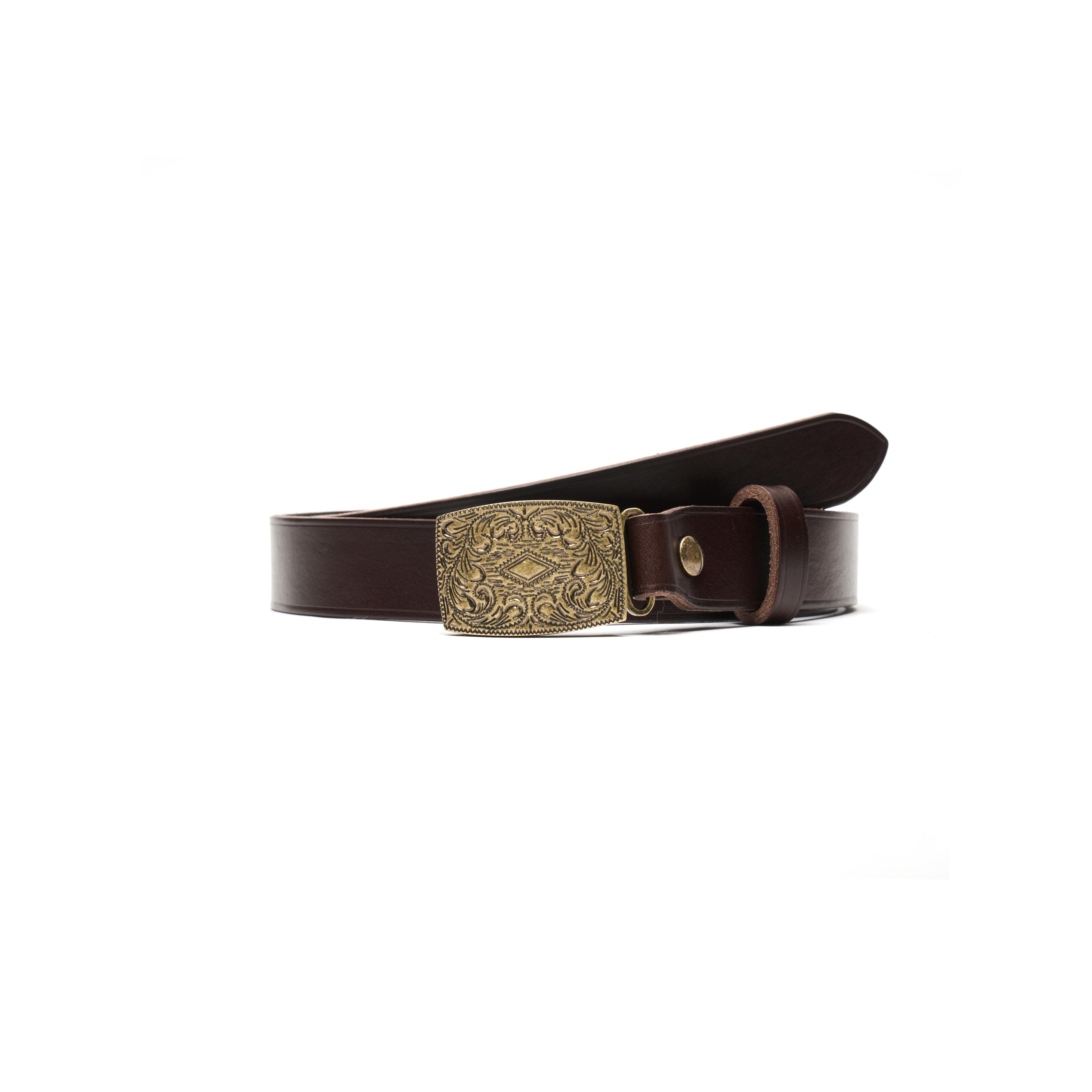 AP007 New Mexico Carved Gold Belt DarkBrown OCO